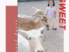 -北京麋鹿生态实验中心