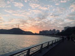 -野狸岛