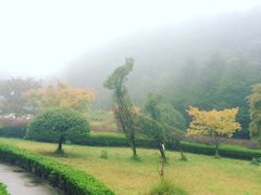 -四明山国家森林公园