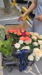 -宝生月子中心(独栋园林·福田店)