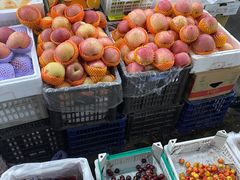 -江杨农产品批发市场