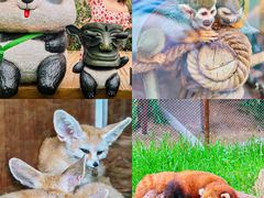 -乐和乐都主题乐园