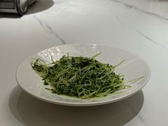 -渔歌湘宴