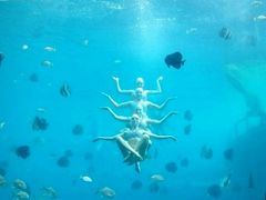 -瑞德姆美人鱼海底演艺主题餐厅(亚龙湾店)