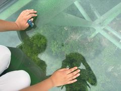 -塔云山