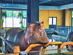 -北京野生动物园