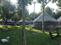 -九十九顶毡房(阜石路店)