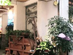 -大理董·董家小厨野生菌火锅(古城旗舰店)