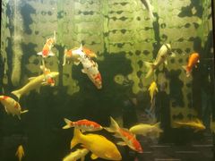 -弘安丽水温泉酒店