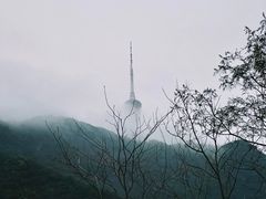 -梧桐山风景名胜区