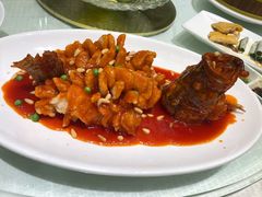 松鼠桂鱼-金时代顺风大酒店(协泰店)