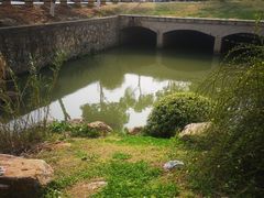 -羊山湖公园