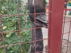 -国色天乡三期陆地乐园