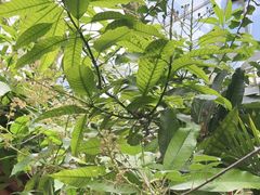 -忆江南·生态餐饮宴会酒店