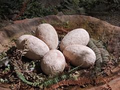 -湖南省地质博物馆