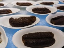 -舒友海鲜大酒楼·宴会厅(白鹭洲旗舰店)