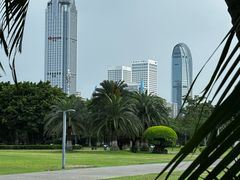 -万绿园