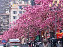 -1点点(清湖地铁店)