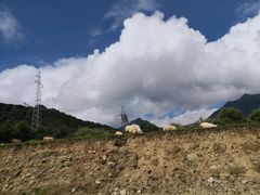 -石棉县孟获城