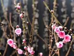 -广东外语外贸大学(白云山校区)