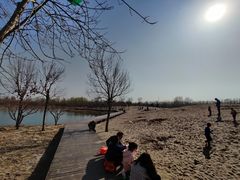 -东郊湿地公园