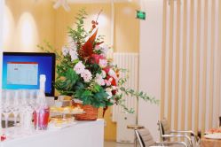 -AFA Hair studio·女士发型设计