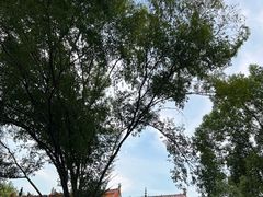 -南岳衡山风景名胜区-南岳大庙