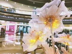 -深圳龙华星河COCO City(民治店)