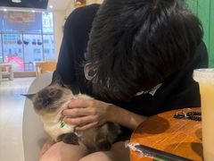 -藏猫猫咖啡主题馆(中央大道店)