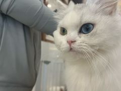 -共舞时光猫咖·狗咖(新街口店)