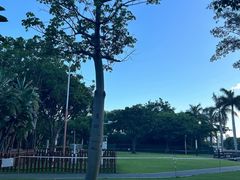 -白鹭洲公园