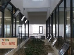 -上海市徐汇区口腔医院