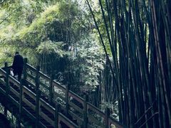 -凤栖山