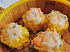 -东方早茶 海鲜•青岛菜(国信体育中心店)