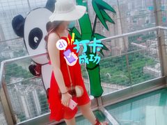-339旋转餐厅(天府熊猫塔店)