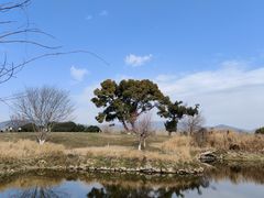 -良渚古城遗址公园