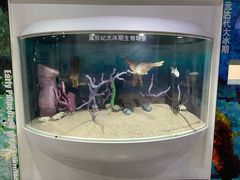 -中国第四纪冰川遗迹陈列馆
