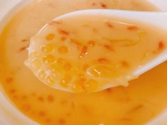 杨枝甘露-南山鲜虾面·活鲜小馆·海味大连菜(南山总店)