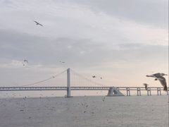 -星海广场