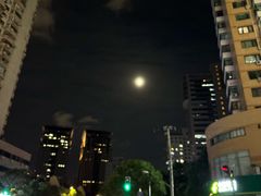 -轻蔬不用等·素食(江苏路店)