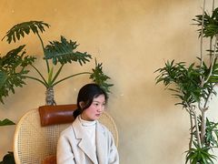 -白茶原·一片叶子