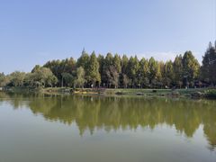 -洋湖国家湿地公园