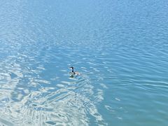 -西昌邛海湿地-月亮湾景区