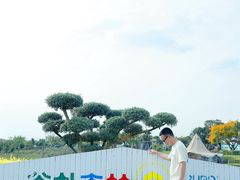 -空港花田景区