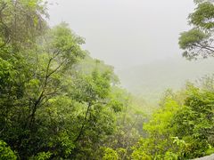 -梧桐山风景名胜区