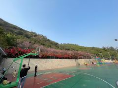 -小南山公园