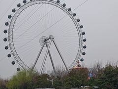 -海合安武汉极地海洋公园