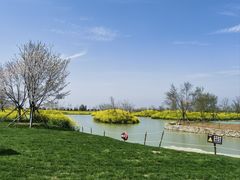 -武汉紫薇都市田园