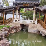 扬州这副画好美，自然之美展现华夏民族魅力！🌿🍀