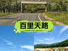 -百里天路